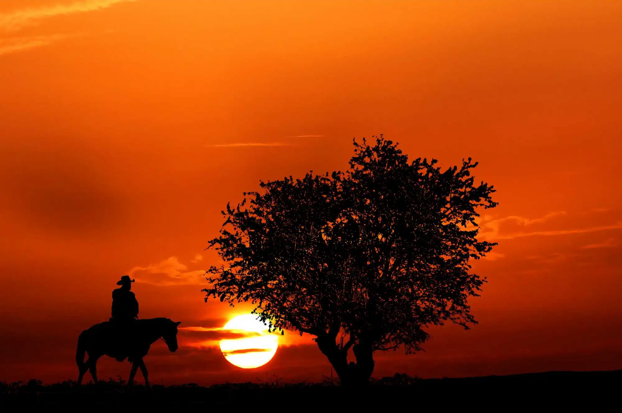 A lone horse rider silhouetted against an amazing blood red sky at sunset