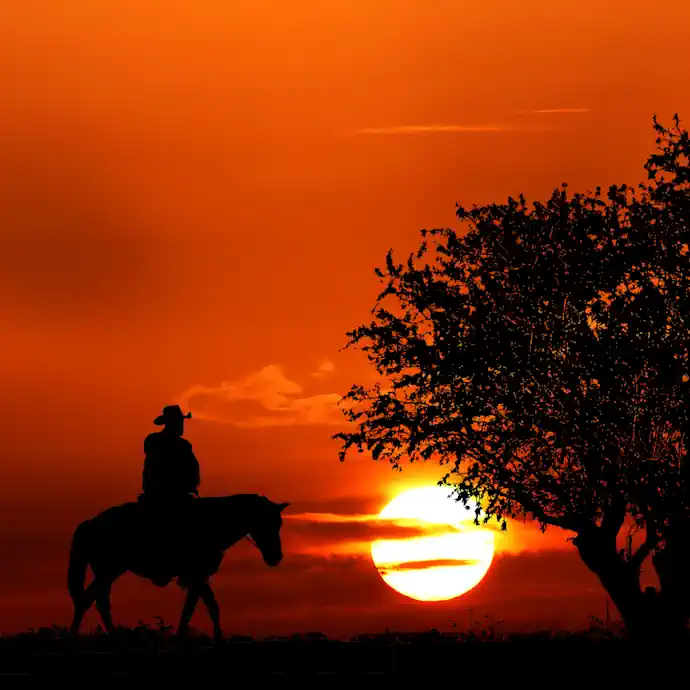 A lone horse rider silhouetted against an amazing blood red sky at sunset